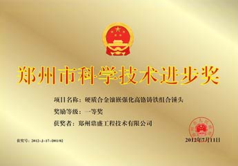 鄭州市科技技術進（jìn）步獎